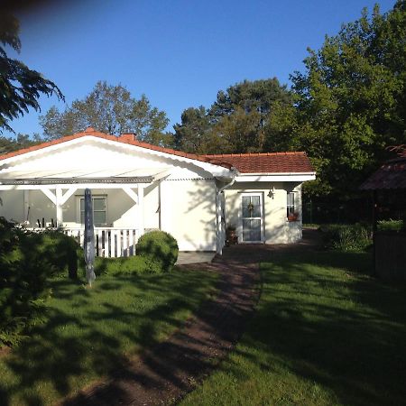 Vila Ferienhaus "Gruner Blick" Wesenberg Exteriér fotografie