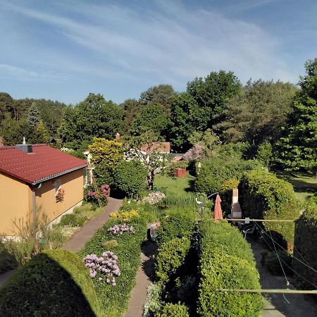 Vila Ferienhaus "Gruner Blick" Wesenberg Exteriér fotografie